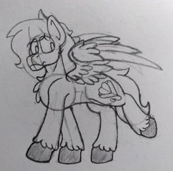 Size: 2707x2674 | Tagged: safe, artist:drheartdoodles, imported from derpibooru, oc, oc only, oc:dr.heart, clydesdale, pegasus, chest fluff, high res, male, smiling, spread wings, stallion, traditional art, walking, wings