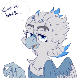 Size: 5000x5000 | Tagged: safe, artist:xasslash, imported from derpibooru, oc, oc only, oc:flynn the icecold, griffon, cheek fluff, chest fluff, embarrassed, eyebrow piercing, eyebrow slit, eyebrows, looking at you, piercing, simple background, solo, text, transparent background