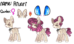 Size: 4000x2364 | Tagged: safe, artist:enifersuch, imported from derpibooru, oc, oc only, earth pony, pony, bald, base used, earth pony oc, female, reference sheet, simple background, transparent background