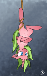 Size: 589x951 | Tagged: safe, artist:sallindaemon, imported from derpibooru, oc, oc:wanderlight, pony, unicorn, female, hanging, mare, rope, solo