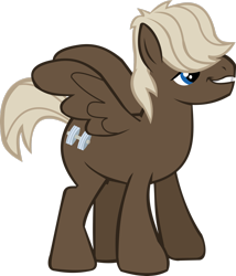 Size: 2265x2647 | Tagged: safe, artist:thebosscamacho, imported from derpibooru, dumbbell, pegasus, sonic rainboom (episode), high res, simple background, solo, transparent background, vector