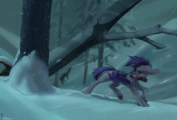 Size: 4000x2715 | Tagged: safe, artist:mithriss, imported from derpibooru, oc, oc only, oc:thunder run, bat pony, pony, bat pony oc, forest, mouth hold, snow, snowfall, solo, winter