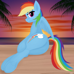 Size: 1024x1024 | Tagged: safe, artist:mark_ml, imported from ponybooru, rainbow dash, pegasus, pony, beach, blushing, female, looking at you, looking back, looking back at you, mare, underhoof