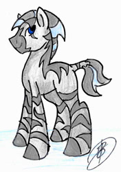 Size: 580x825 | Tagged: safe, artist:ask-y, imported from derpibooru, oc, oc only, zebra, male, signature, simple background, smiling, solo, stallion, traditional art, white background, zebra oc