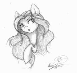 Size: 927x879 | Tagged: safe, artist:ask-y, imported from derpibooru, oc, oc only, earth pony, pony, bust, earth pony oc, female, mare, raised hoof, signature, solo, traditional art