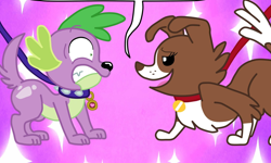 Size: 1542x926 | Tagged: safe, imported from ponybooru, spike, spike the regular dog, winona, dog, equestria girls, bedroom eyes, collar, comic, cropped, dog tags, female, leash, looking at each other, male, nervous, out of context, shipping, show accurate, spiked collar, spinona, straight