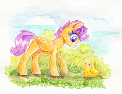 Size: 900x693 | Tagged: safe, artist:maytee, imported from derpibooru, scootaloo, pony, solo