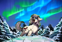 Size: 4280x2928 | Tagged: safe, artist:pridark, imported from derpibooru, oc, oc only, pony, aurora borealis, chest fluff, ear fluff, floppy ears, forest, night, pine tree, sky, snow, snowpony (species), solo, stars, taiga pony, tree, winter, yakutian horse