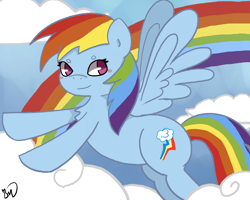 Size: 1000x800 | Tagged: safe, artist:twilightmew16, imported from derpibooru, rainbow dash, pegasus, pony, backwards cutie mark, chest fluff, cloud, female, flying, rainbow, solo