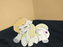 Size: 2938x2203 | Tagged: artist needed, safe, imported from ponybooru, oc, oc only, oc:aryanne, earth pony, pony, bed, blushing, chest fluff, disembodied hand, hand, irl, nazi, petting, photo, ponies in real life, solo focus
