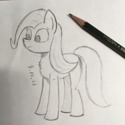 Size: 1048x1048 | Tagged: safe, artist:huodx, fluttershy, earth pony, pony, frown, monochrome, pencil, simple background, traditional art