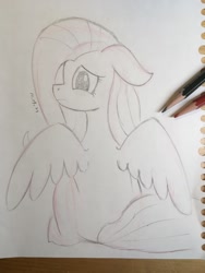 Size: 983x1310 | Tagged: safe, artist:huodx, pony, frown, looking back, monochrome, pagesus, simple background, sitting, spread wings, traditional art, wings