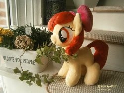 Size: 1000x750 | Tagged: safe, artist:hipsterowlet, imported from derpibooru, apple bloom, earth pony, pony, female, filly, irl, photo, plushie, solo