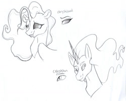 Size: 1994x1584 | Tagged: safe, artist:ask-y, imported from derpibooru, oc, oc only, hybrid, pony, unicorn, angler seapony, bust, duo, eyelashes, fangs, horn, interspecies offspring, male, offspring, parent:discord, parent:princess celestia, parent:princess luna, parent:scorpan, parents:lunacord, smiling, stallion, traditional art, unicorn oc