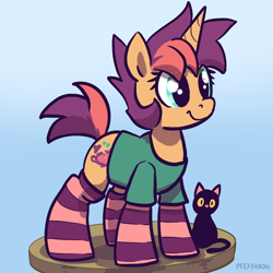 Size: 2048x2048 | Tagged: safe, artist:pfeffaroo, imported from derpibooru, oc, oc:kettle chip, cat, pony, unicorn, clothes, cute, female, high res, mare, ocbetes, plushie, shirt, smiling, socks, solo, striped socks, t-shirt