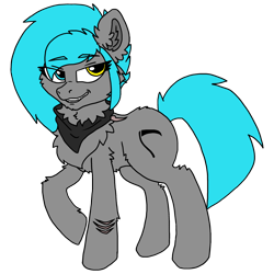 Size: 2500x2500 | Tagged: safe, artist:sorajona, imported from derpibooru, oc, oc only, oc:sorajona, oc:sorajona darkwing, pegasus, pony, derpibooru community collaboration, 2022 community collab, chest fluff, female, grey fur, grin, heterochromia, high res, mare, neckerchief, pegasus oc, scar, scene hair, simple background, smiling, solo, transparent background, wingless