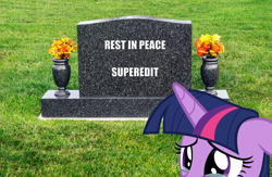 Size: 2396x1564 | Tagged: safe, imported from derpibooru, twilight sparkle, crying, gravestone, solo
