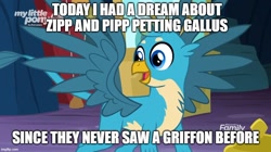 Size: 888x499 | Tagged: safe, edit, edited screencap, imported from derpibooru, screencap, gallus, griffon, uprooted, birb, caption, cute, dream, dream description, g4, g5, gallabetes, happy, heartwarming, image macro, implied pipp petals, implied zipp storm, male, meme, my little pony: a new generation, smiling, solo, sweet dreams fuel, text, ticket booth, wholesome