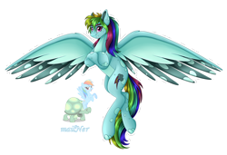 Size: 5860x4008 | Tagged: safe, artist:mailner, imported from derpibooru, rainbow dash, tank, pegasus, pony, tortoise, absurd resolution, crossed arms, female, flying, fusion, grin, looking at you, male, mare, redesign, simple background, smiling, solo, spread wings, transparent background, wings