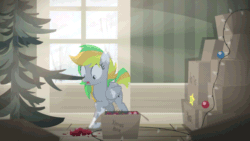 Size: 640x360 | Tagged: safe, artist:brutalweather studio, imported from derpibooru, oc, oc only, oc:odd inks, pegasus, pony, adventure in the comments, animated, box, broken glass, christmas, christmas lights, christmas tree, coat markings, commission, crepuscular rays, cute, eye shimmer, female, folded wings, gif, holiday, loop, mare, mouth hold, multicolored mane, multicolored tail, ornament, pegasus oc, perfect loop, raised hoof, show accurate, shrunken pupils, snow, snowfall, solo, tail, tree, window, wings, ych result