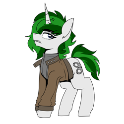 Size: 1922x1921 | Tagged: safe, artist:coatieyay, imported from derpibooru, oc, oc only, oc:baron, pony, unicorn, clothes, female, jacket, simple background, transparent background