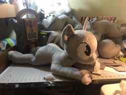 Size: 4032x3024 | Tagged: safe, artist:azgchip, imported from derpibooru, derpy hooves, pony, photo, plushie, wip