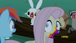 Size: 2560x1440 | Tagged: safe, edit, edited screencap, imported from derpibooru, screencap, angel bunny, fluttershy, rainbow dash, pony, 28 pranks later, cookie zombie, discovery family, discovery family logo, logo, rainbow muzzle, upscaled, waifu2x