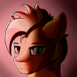 Size: 1500x1500 | Tagged: safe, artist:starcasteclipse, imported from derpibooru, oc, oc:coffee coat, pegasus, bust, portrait