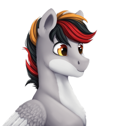Size: 1017x1072 | Tagged: artist needed, source needed, safe, imported from derpibooru, oc, oc only, oc:primaryforce, pegasus, pony, bust, handsome, simple background, solo, transparent background