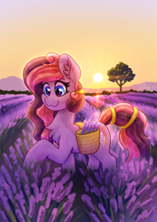 Size: 2480x3508 | Tagged: safe, artist:dandy, imported from derpibooru, oc, oc only, oc:laventa breeze, crystal pony, pony, :3, basket, chest fluff, ear fluff, female, field, high res, lavender, secret santa, smiling, solo, sunset, tail, tail band