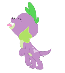 Size: 3242x3640 | Tagged: safe, artist:gmaplay, imported from derpibooru, spike, spike the regular dog, dog, equestria girls, cute, high res, licking, missing accessory, simple background, solo, spikabetes, spike the dog, tongue out, transparent background