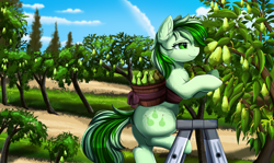 Size: 3517x2095 | Tagged: safe, artist:pridark, imported from derpibooru, oc, oc only, earth pony, pony, butt, cloud, commission, earth pony oc, food, high res, ladder, orchard, outdoors, pear, plot, sky, smiling, solo