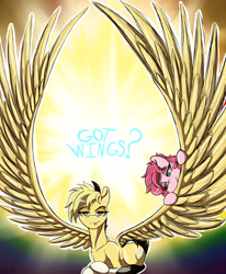 Size: 5120x6222 | Tagged: safe, artist:mixdaponies, imported from derpibooru, oc, oc only, oc:suni, pegasus, pony, impossibly large wings, large wings, looking at you, pegasus oc, wings