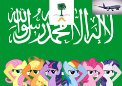 Size: 1024x721 | Tagged: safe, artist:princemoonbeam, imported from derpibooru, applejack, fluttershy, pinkie pie, rainbow dash, rarity, twilight sparkle, flag, mane six, plane, salute, saudi arabia