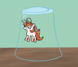 Size: 718x620 | Tagged: safe, artist:jargon scott, imported from derpibooru, oc, oc only, oc:chip breeze, breezie, angry, animated, breezie oc, bugs doing bug things, female, glass, loop, no sound, solo, trapped, webm
