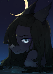 Size: 1000x1400 | Tagged: safe, artist:qawakie, imported from derpibooru, oc, oc only, earth pony, pony, bust, crescent moon, earth pony oc, moon, night, outdoors, solo, stars, transparent moon