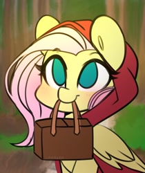 Size: 1718x2048 | Tagged: safe, artist:sakukitty, imported from derpibooru, fluttershy, pegasus, pony, basket, cute, female, hood, little red riding hood, mare, mouth hold, no pupils, shyabetes, smiling, solo