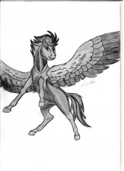 Size: 1275x1752 | Tagged: safe, artist:silbernepegasus, imported from derpibooru, oc, pegasus, solo