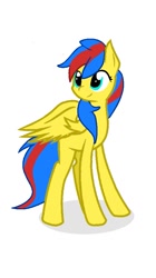 Size: 525x936 | Tagged: safe, imported from derpibooru, oc, oc only, oc:small zhu, pegasus, pony, female, full body, mare, pegasus oc, shadow, simple background, smiling, solo, standing, tail