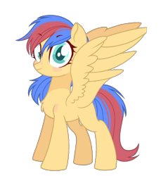 Size: 1080x1178 | Tagged: safe, imported from derpibooru, oc, oc only, oc:small zhu, pegasus, pony, derpibooru community collaboration, 2022 community collab, chest fluff, eyebrows, eyebrows visible through hair, female, full body, mare, pegasus oc, simple background, smiling, solo, spread wings, standing, tail, transparent background, two toned mane, two toned tail, wings