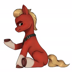 Size: 2048x2048 | Tagged: safe, artist:dancingkinfiend, artist:zekie_bleak, imported from derpibooru, sprout cloverleaf, earth pony, pony, angry, belt, blonde hair, blonde mane, coat markings, collaboration, eyebrows down, g5, high res, male, my little pony: a new generation, red fur, serious, serious face, sitting, socks (coat markings), solo, stallion, tail, wavy hair, wavy mane, wavy tail