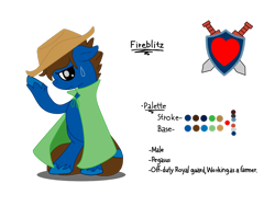 Size: 2828x2121 | Tagged: safe, artist:euphorictheory, imported from derpibooru, oc, oc only, oc:fireblitz, pegasus, pony, cloak, clothes, floppy ears, hat, high res, male, reference sheet, simple background, solo, stallion, standing on two hooves, sweat, sweatdrop, text, transparent background, unshorn fetlocks