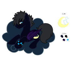 Size: 2828x2121 | Tagged: safe, artist:euphorictheory, imported from derpibooru, oc, oc only, oc:dusk rhyme, bat pony, pony, arm band, bio in description, cloud, high res, lying down, male, reference sheet, simple background, solo, stallion, transparent background