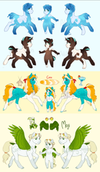 Size: 5420x9281 | Tagged: safe, artist:royvdhel-art, imported from derpibooru, oc, oc only, anthro, earth pony, pegasus, pony, anthro with ponies, earth pony oc, pegasus oc, reference sheet, smiling, wings