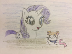 Size: 1024x768 | Tagged: safe, artist:pinkduskstone, imported from derpibooru, rarity, hamster, pony, unicorn, hamtaro, pashmina, tabitha st. germain, traditional art, voice actor joke