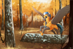 Size: 4092x2775 | Tagged: safe, artist:royvdhel-art, imported from derpibooru, oc, oc only, oc:cloud zapper, pegasus, pony, armor, flying, forest, helmet, male, pegasus oc, royal guard, smiling, solo, stallion, tree, wings