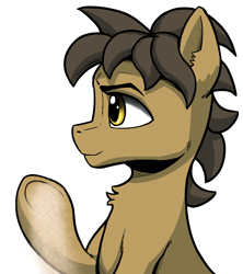 Size: 3548x4000 | Tagged: safe, artist:ahobobo, imported from derpibooru, oc, oc:sandstone shine, earth pony, pony, bust, portrait, sand, solo