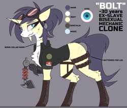 Size: 4096x3480 | Tagged: safe, artist:fenixdust, oc, oc only, pony, unicorn, fallout equestria, amputee, chest fluff, cigarette, clothes, prosthetic limb, prosthetics, raised hoof, reference sheet, simple background, smiling
