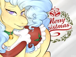 Size: 1600x1200 | Tagged: safe, artist:miphassl, imported from derpibooru, oc, oc only, oc:bb-shay, earth pony, pony, christmas, happy, holiday, offscreen character, outfit, pov, smiling, solo