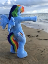 Size: 960x1280 | Tagged: safe, artist:atalonthedeer, imported from derpibooru, rainbow dash, anthro, pegasus, beach, clothes, cosplay, costume, female, fursuit, irl, man, mare, ocean, photo, pointing, ponysuit, raised hoof, sand, solo, wings